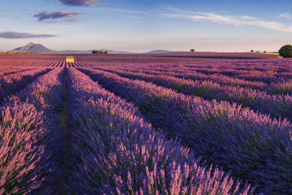 Provence France